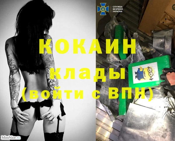 прущие грибы Гусь-Хрустальный
