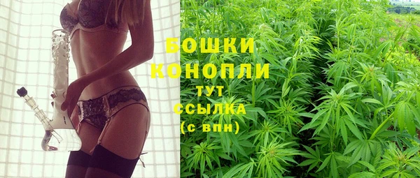 прущие грибы Гусь-Хрустальный