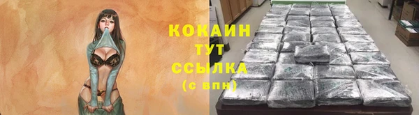 спиды Гусев