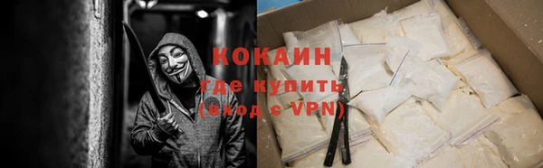 прущие грибы Гусь-Хрустальный