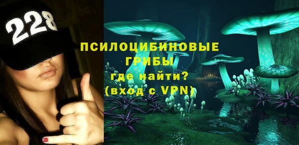 спиды Гусев