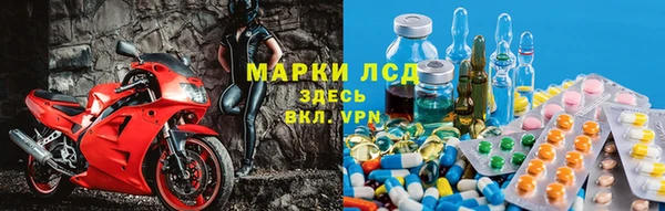 прущие грибы Гусь-Хрустальный
