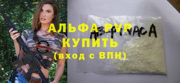 спиды Гусев