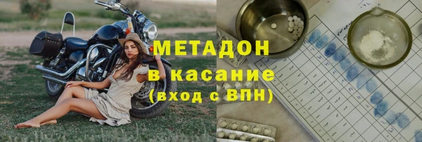 прущие грибы Гусь-Хрустальный