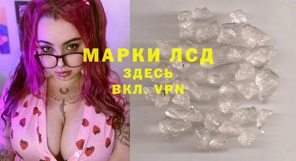 прущие грибы Гусь-Хрустальный