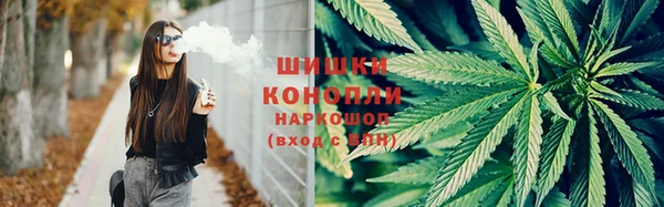 прущие грибы Гусь-Хрустальный
