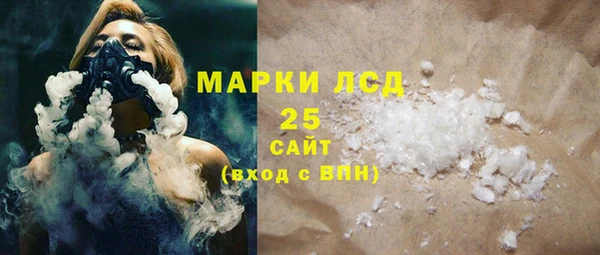 спиды Гусев