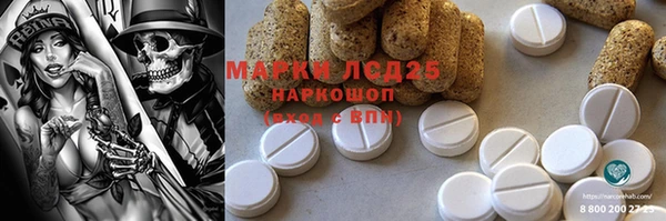 спиды Гусев