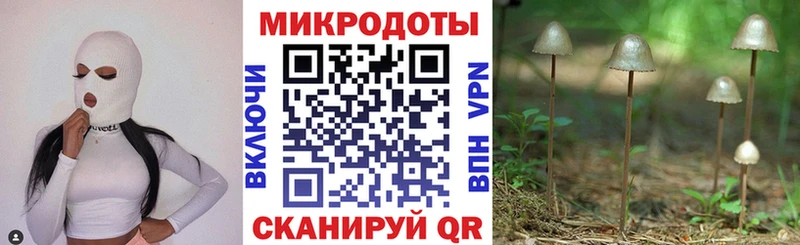 Галлюциногенные грибы MAGIC MUSHROOMS  Купить где  Мыски 